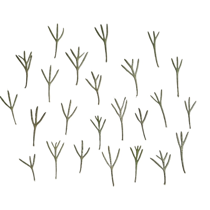 Resin Art Bookmark - 24pcs, Daun Achillea Asli yang Dipres,