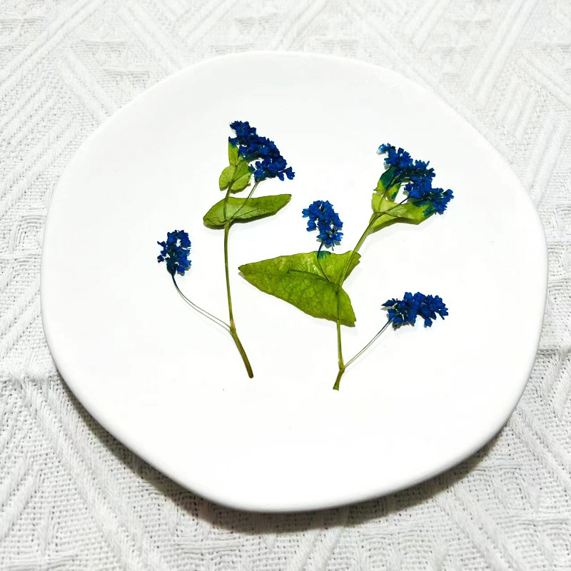 1Set Herbarium Bunga Fagopyrum - Resin Art Bookmark ulasan dan harga