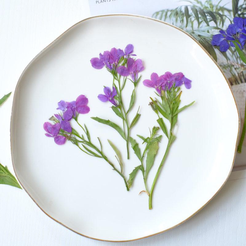 6 Buah/8-13Cm, Bunga Lobelia E - Resin Art Bookmark ulasan dan harga